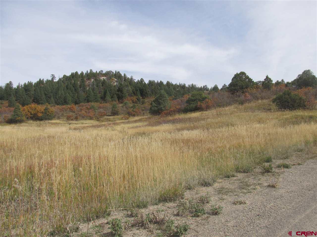 X Roush Drive Pagosa Springs, CO 81147 - Photo 3 of 16