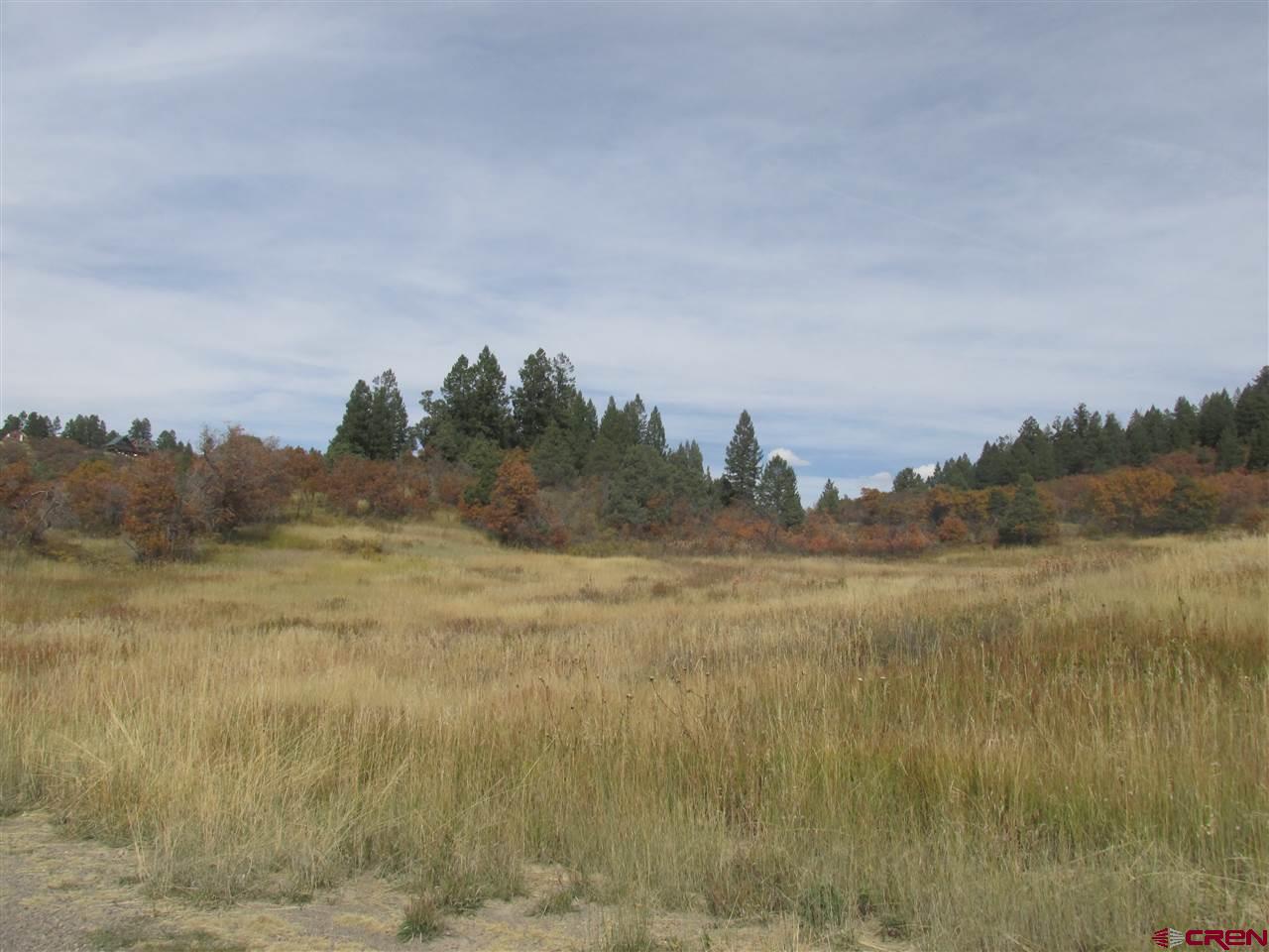 X Roush Drive Pagosa Springs, CO 81147 - Photo 4 of 16