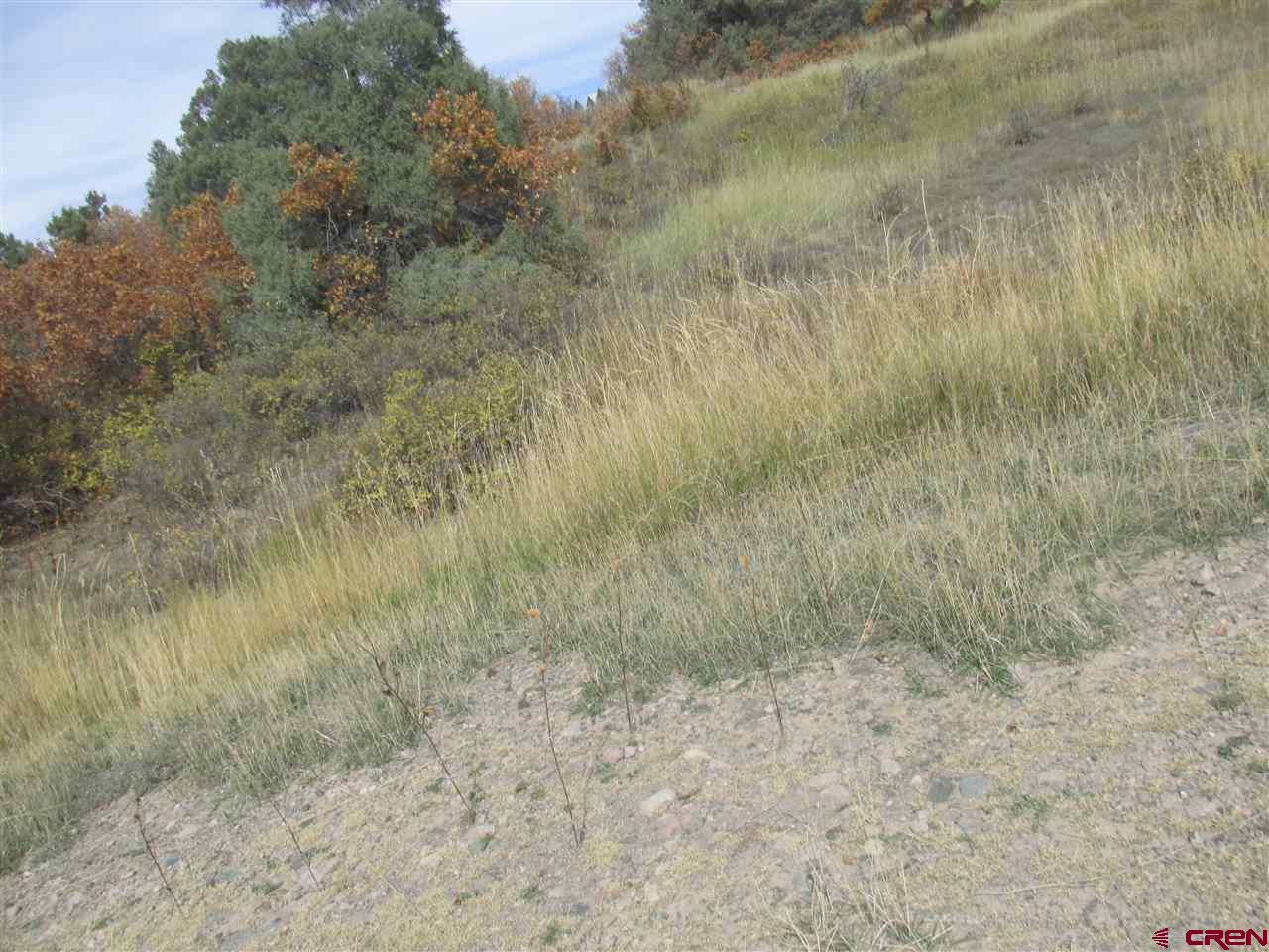 X Roush Drive Pagosa Springs, CO 81147 - Photo 5 of 16