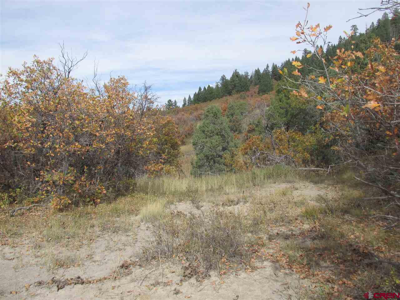 X Roush Drive Pagosa Springs, CO 81147 - Photo 6 of 16