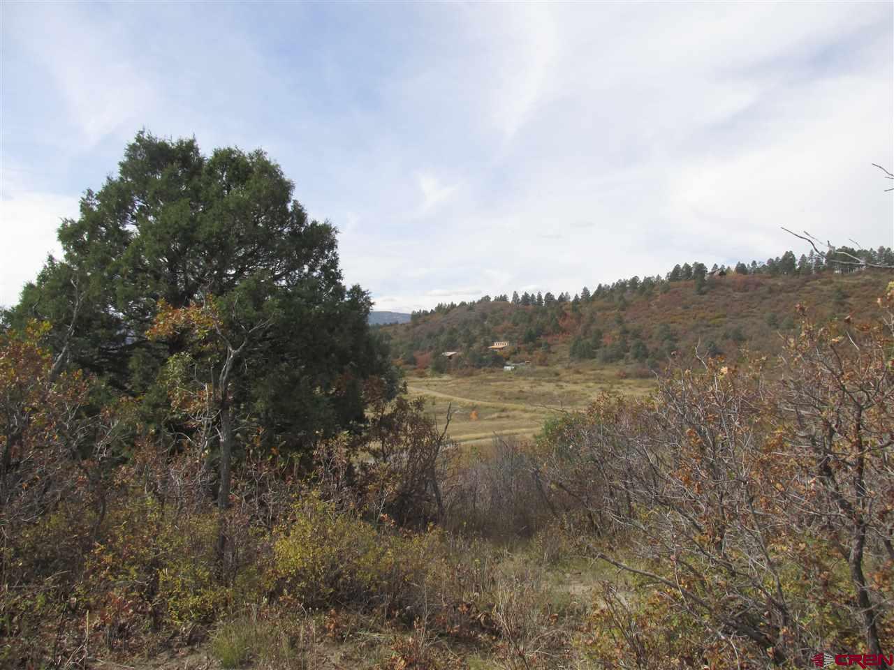 X Roush Drive Pagosa Springs, CO 81147 - Photo 7 of 16