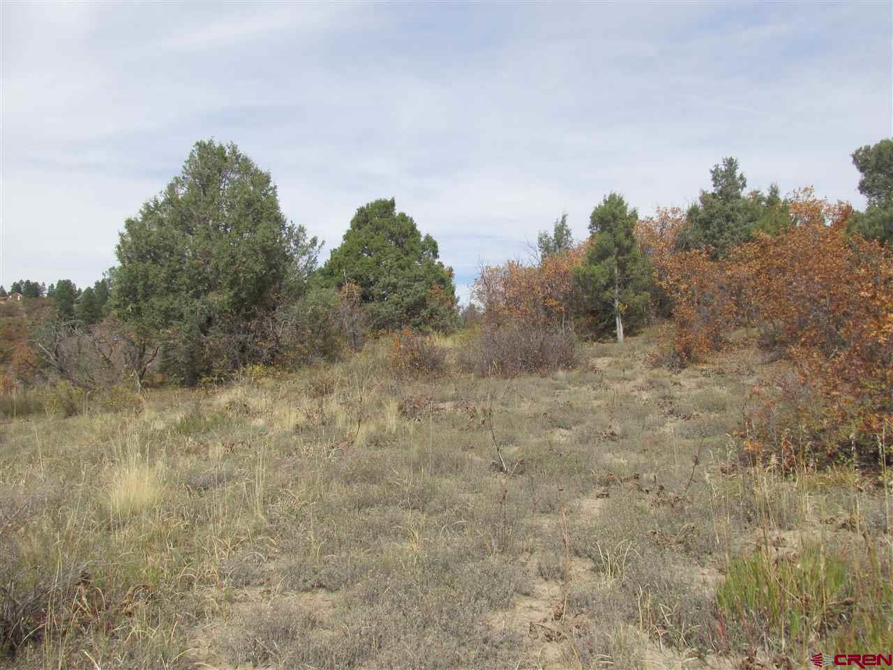 X Roush Drive Pagosa Springs, CO 81147 - Photo 10 of 16