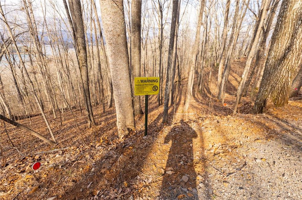 0 Frog Pond Road Hiawassee, GA 30546 - Photo 13 of 23 a view of tall trees