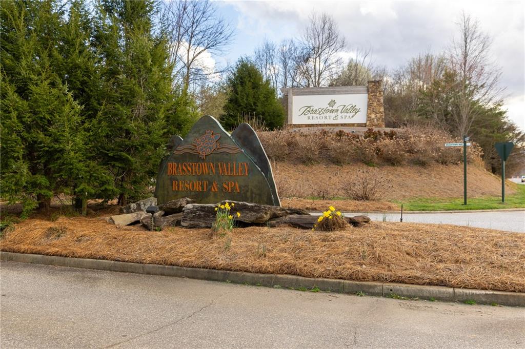 0 Frog Pond Road Hiawassee, GA 30546 - Photo 19 of 23 a view of a park with trees