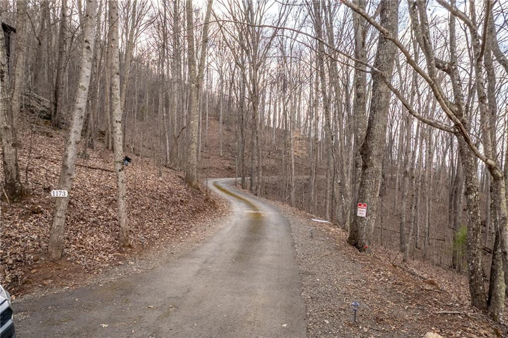 0 Frog Pond Road Hiawassee, GA 30546 - Photo 3 of 23 a view of a yard with trees