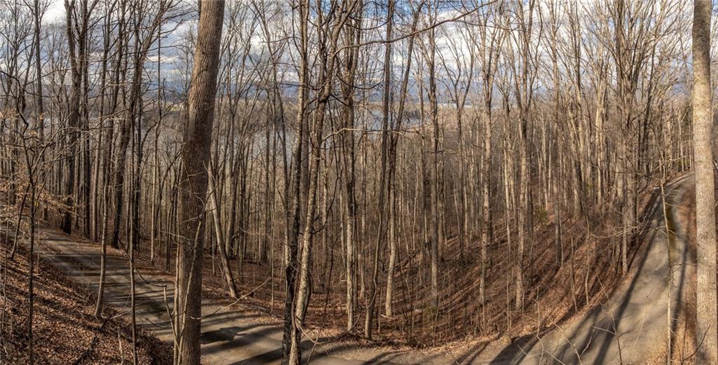 0 Frog Pond Road Hiawassee, GA 30546 - Photo 5 of 23 a view of a forest