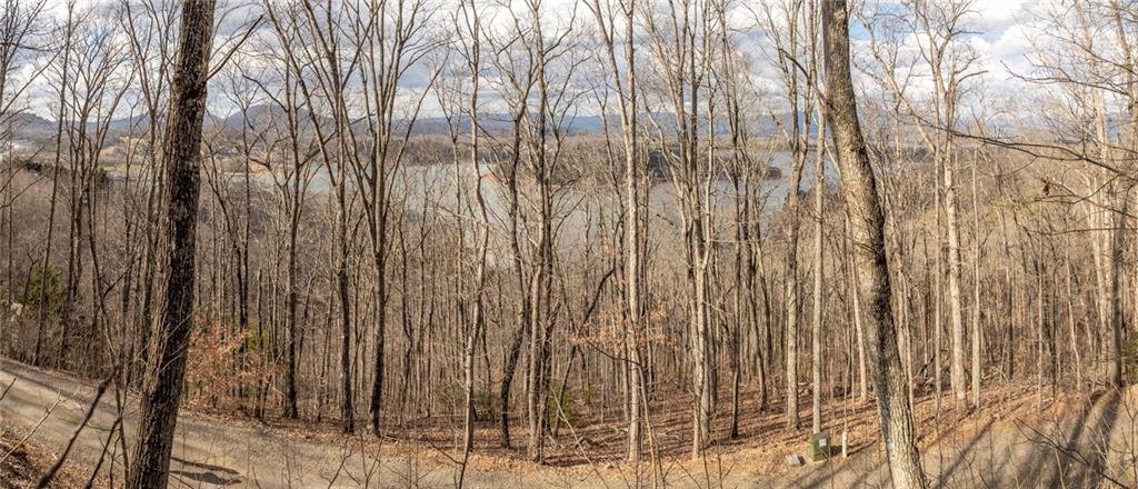 0 Frog Pond Road Hiawassee, GA 30546 - Photo 6 of 23 a view of a backyard of a house