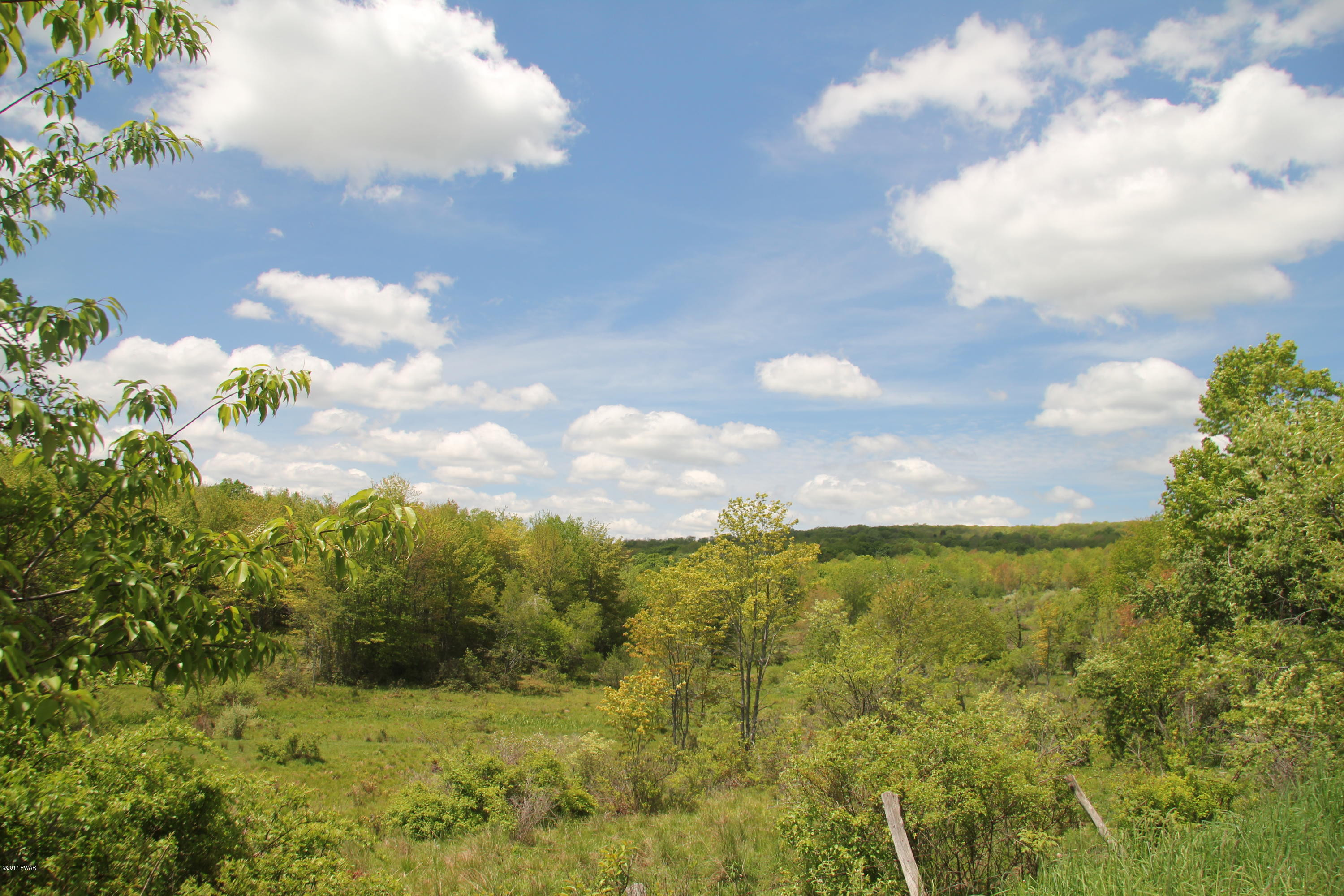 Holbert Road Preston Park, PA 18455 - Photo 5 of 9