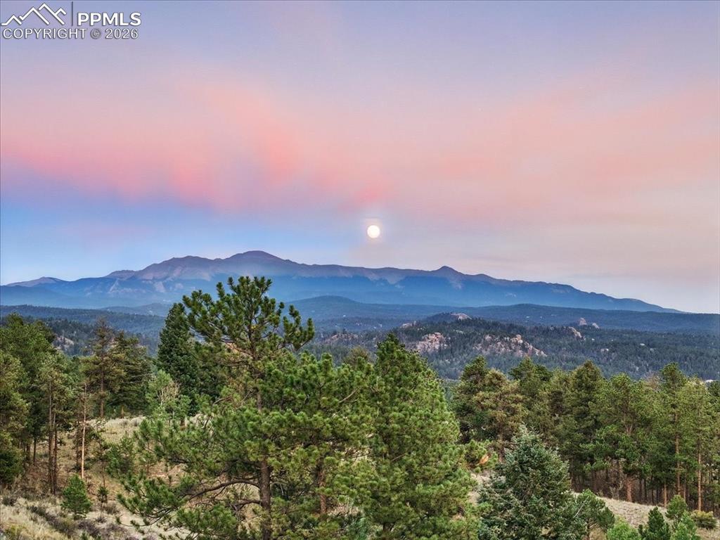 1721 Wildhorn Road Florissant, CO 80816 - Photo 48 of 48