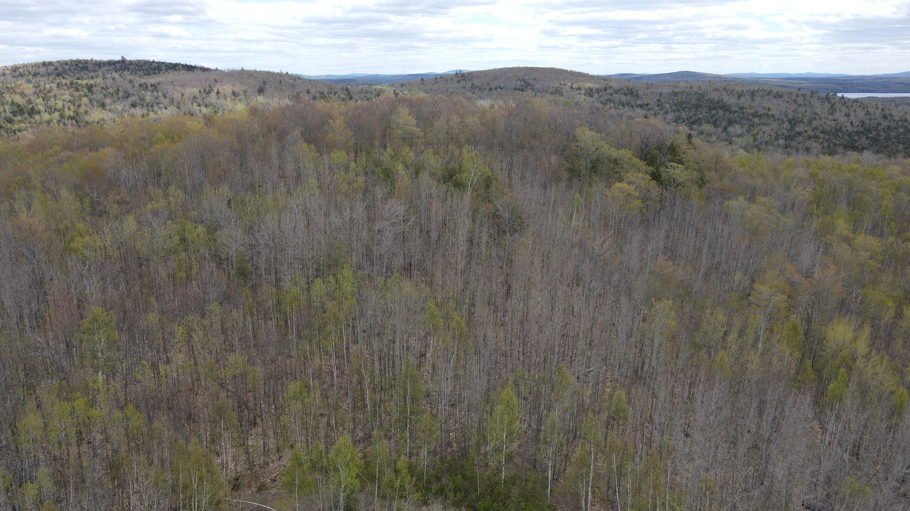 0 South Road Lincoln, ME 04457 - Photo 72 of 75 DJI_0152