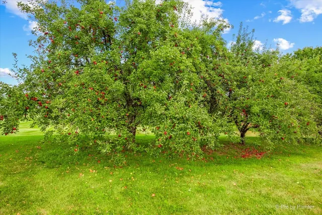 $925,000 | 3N369 LaFox Road, St. Charles, IL 60175