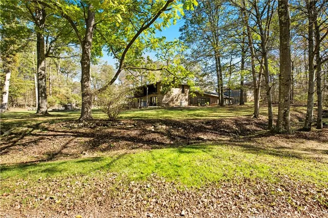 a view of a yard with a tree