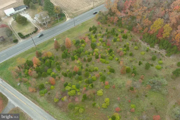 a view of a garden