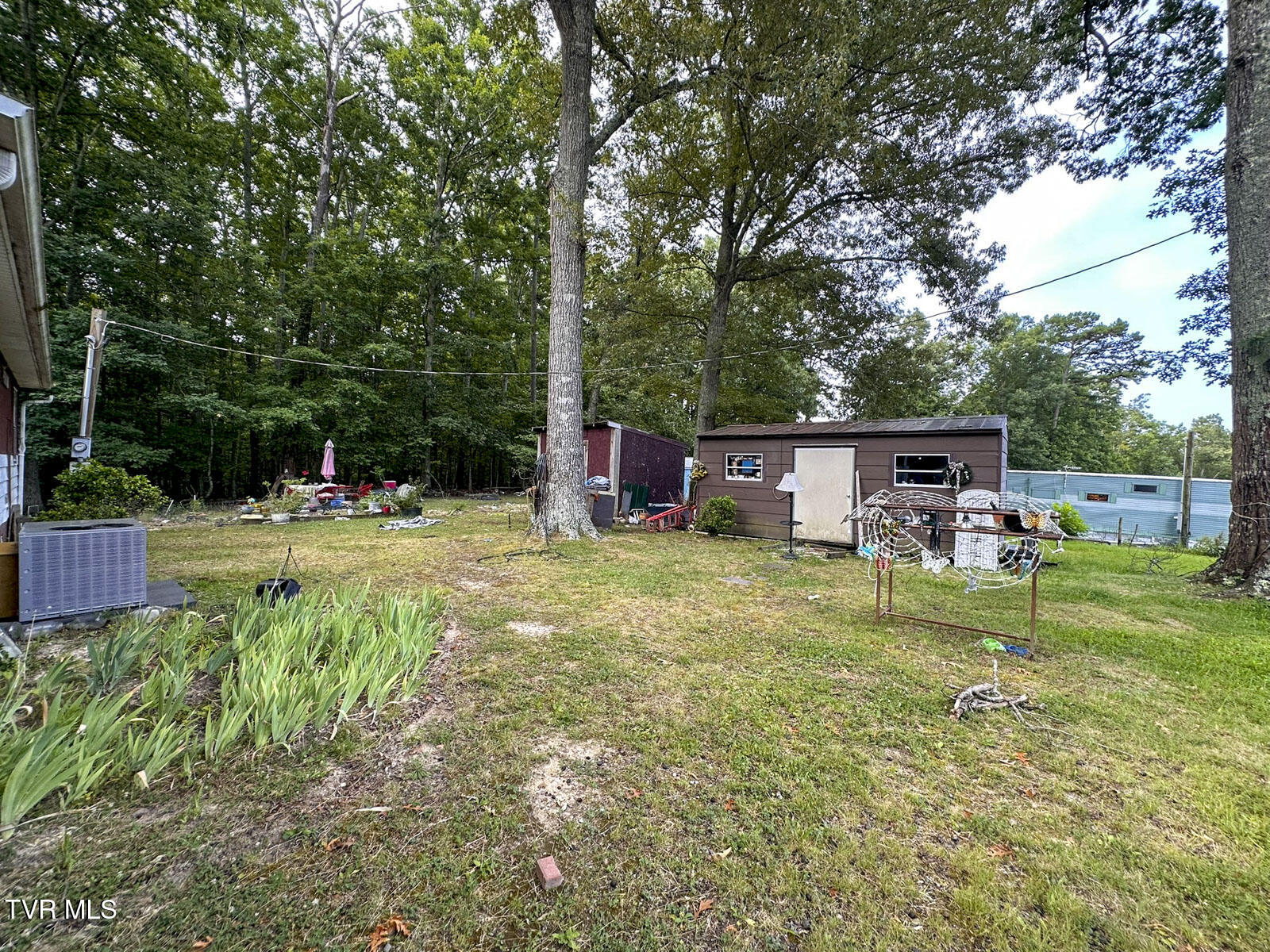 2120 Cox Road Dandridge, TN 37725 - Photo 3 of 8 img_7874
