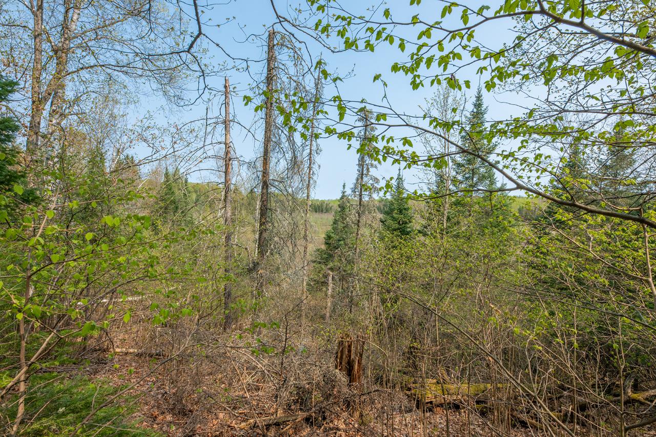 On Frontier Road Presque Isle, WI 54557 - Photo 10 of 42 Gallery Image 10