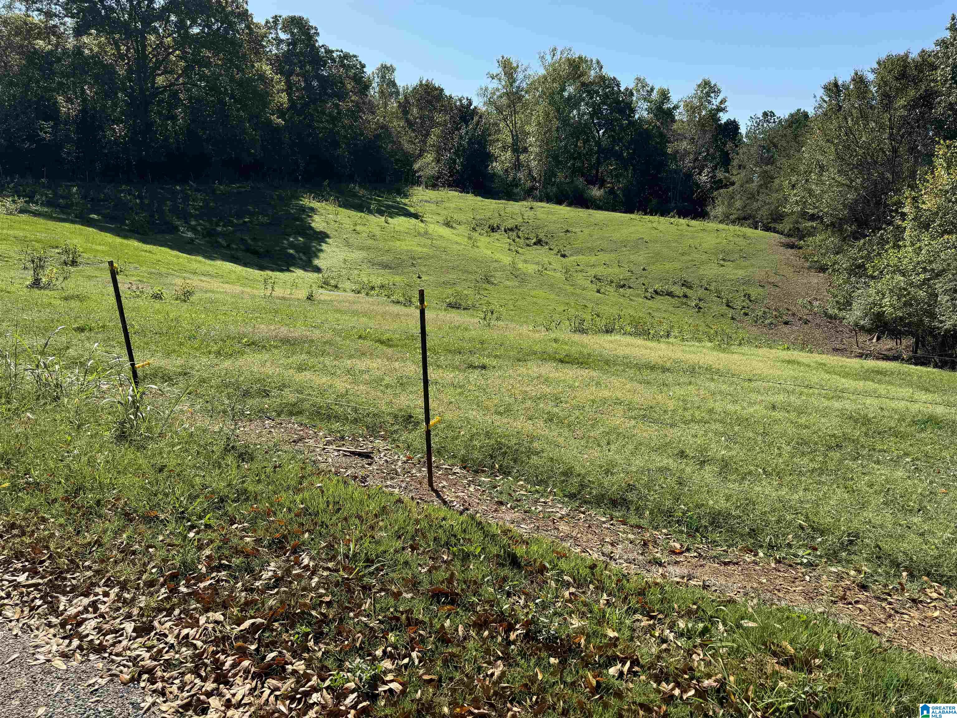 135 Tadlock Drive Cleveland, AL 35049 - Photo 43 of 49