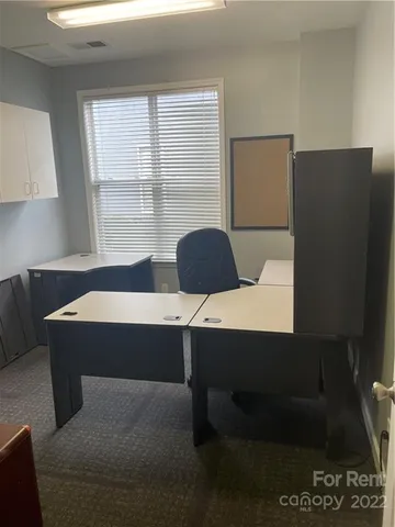 a room with furniture and a potted plant