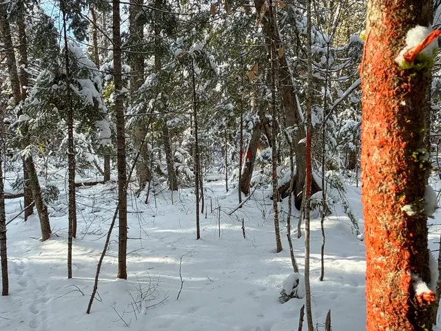 $185,000 | 985 Grindstone Road, Stacyville, ME 04777