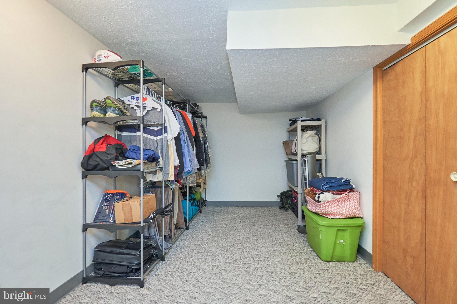 100 Tapawingo Road Southeast Vienna, VA 22180 - Photo 28 of 37 And more storage...