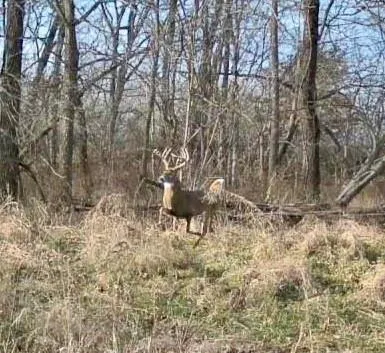 $225,000 | Hickory Grove Road, Richmond, MO 64085