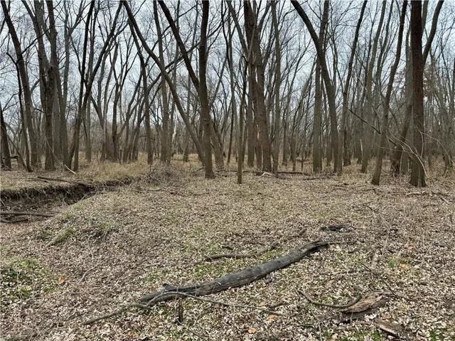 $225,000 | Hickory Grove Road, Richmond, MO 64085