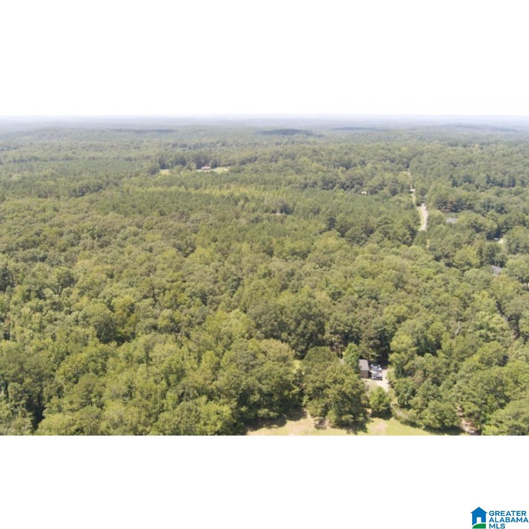 4027 Dean Road, Unit 4027 Pinson, AL 35126 - Photo 10 of 13