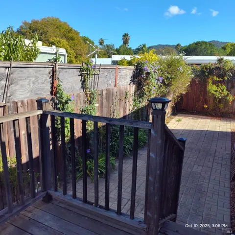 a view of a plant in a garden