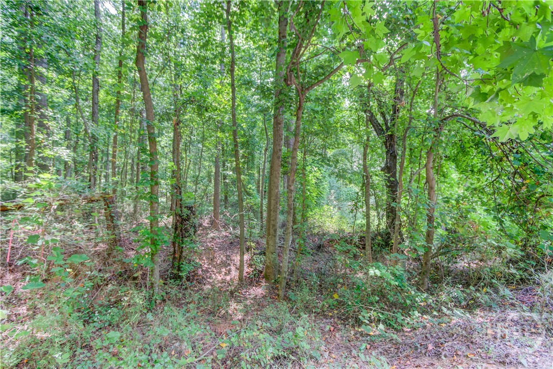 0 McCarty Road Chickamauga, GA 30707 - Photo 6 of 15 Gallery Image 6