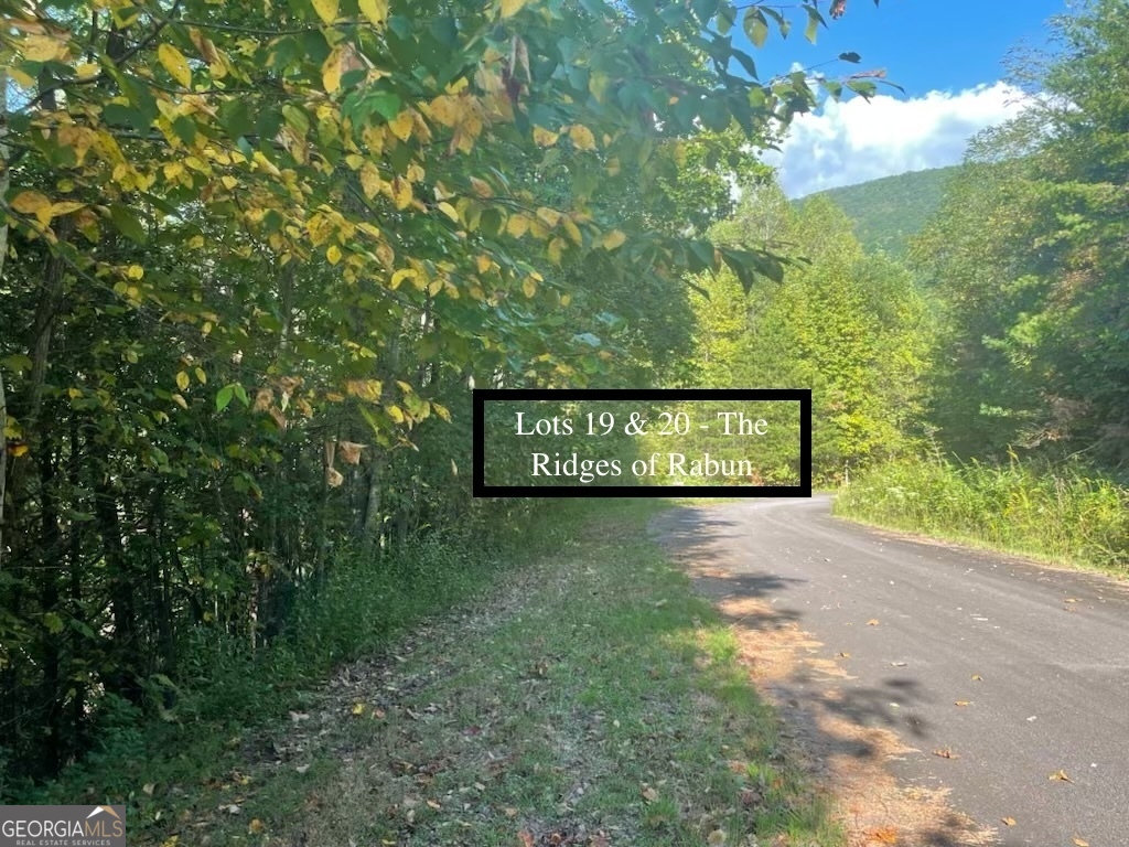 Lots 19-20 Shake Hollow Road Rabun Gap, GA 30568 - Photo 1 of 1