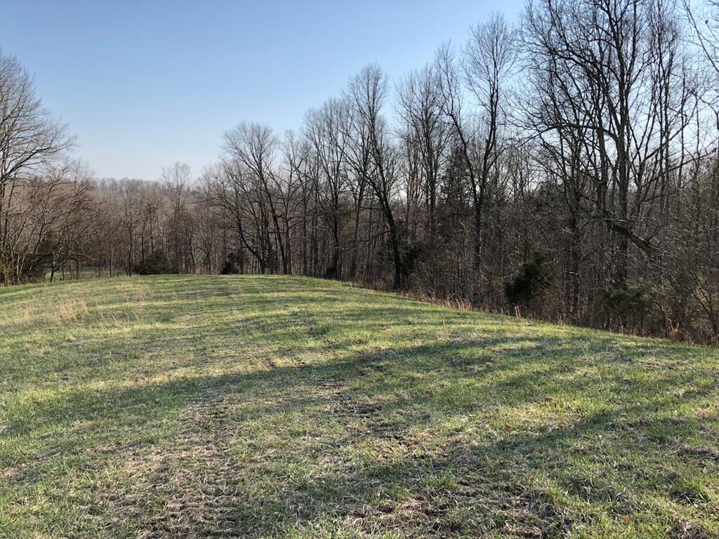 950 Johnney Harvey Road Breeding, KY 42715 - Photo 6 of 26 Gallery Image 6