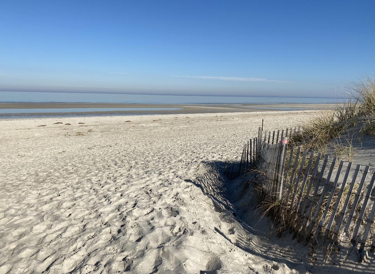 37 Horsefoot Path Dennis, MA 02638 - Photo 1 of 50 a view of a water heater and a floor to ceiling window