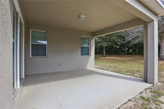 a view of a yard with trees
