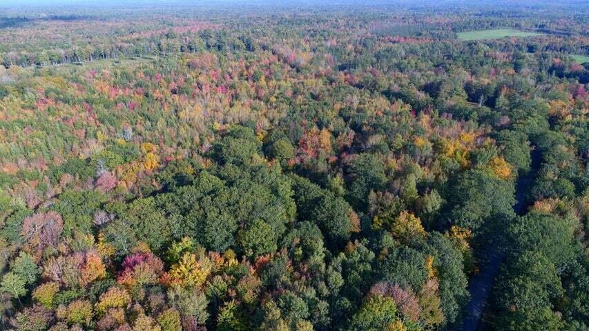 6-7 Cross Road Greenbush, ME 04418 - Photo 18 of 21 Photo 18