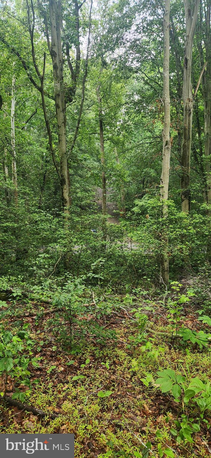 Poorhouse Rd Port Port Tobacco, MD 20677 - Photo 4 of 5