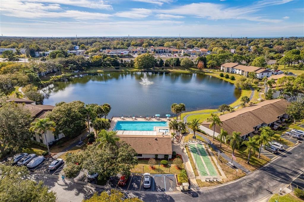 2523 Pine Ridge Way South, Unit C2 Palm Harbor, FL 34684 - Photo 27 of 29