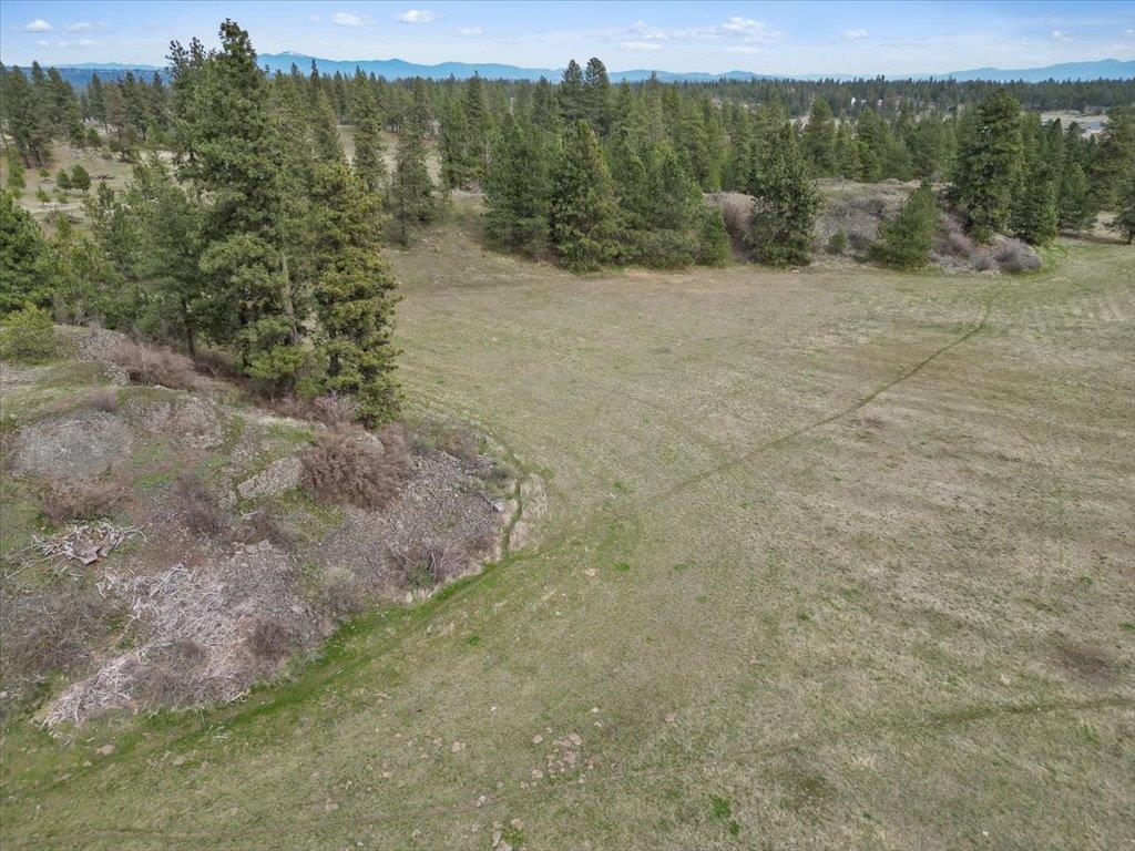 Nka North Flint Road Spokane, WA 99224 - Photo 5 of 18