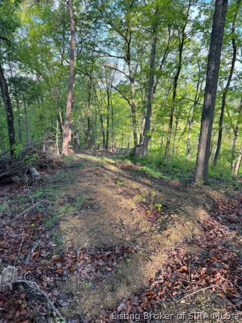 Gap Hollow Road New Albany, IN 47150 - Photo 12 of 13 Gallery Image 12