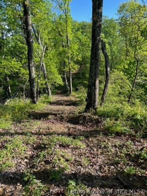 Gap Hollow Road New Albany, IN 47150 - Photo 2 of 13 Gallery Image 2