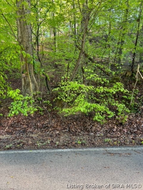 Gap Hollow Road New Albany, IN 47150 - Photo 3 of 13 Gallery Image 3