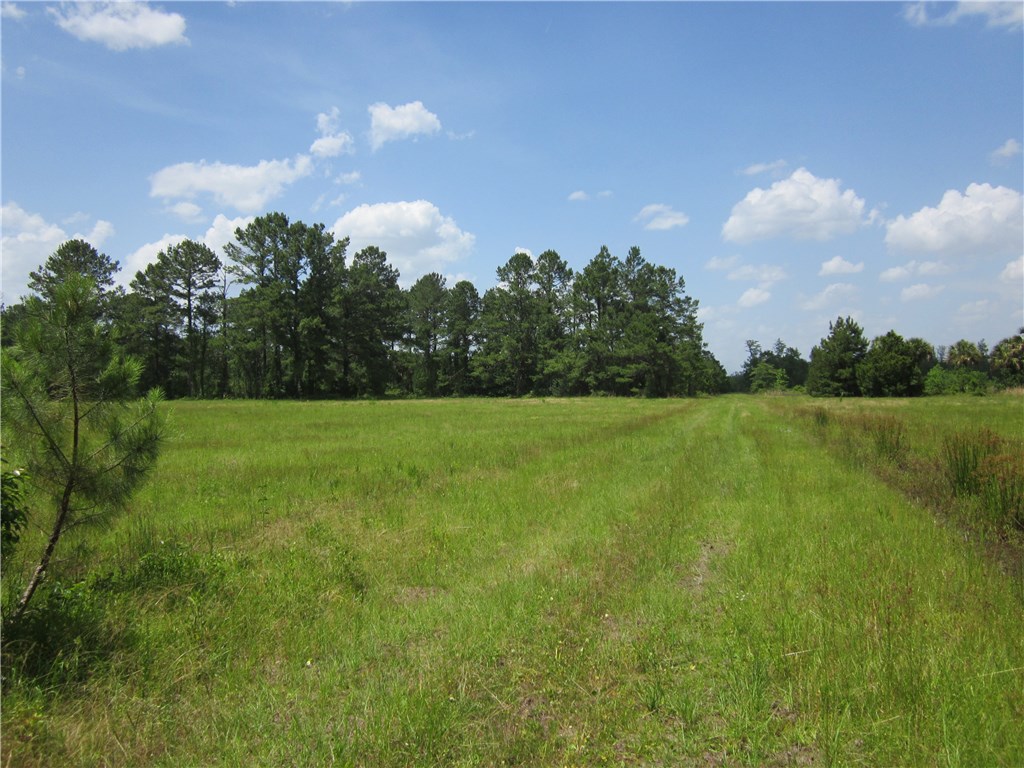 Zidell Road Callahan, FL 32011 - Photo 2 of 3 a view of a lake with a big yard