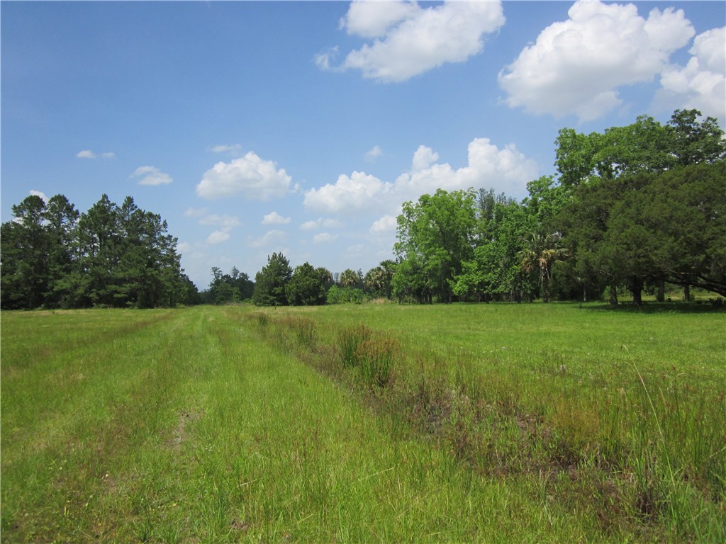Zidell Road Callahan, FL 32011 - Photo 3 of 3 a view of a golf course with a lake