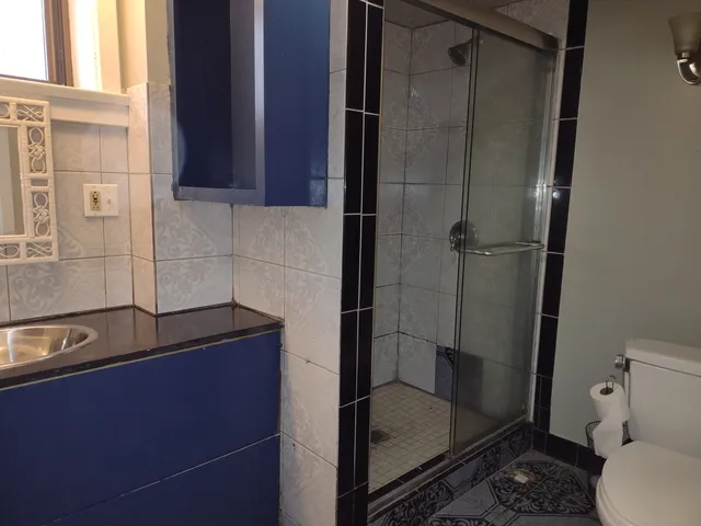 a bathroom with a shower and toilet