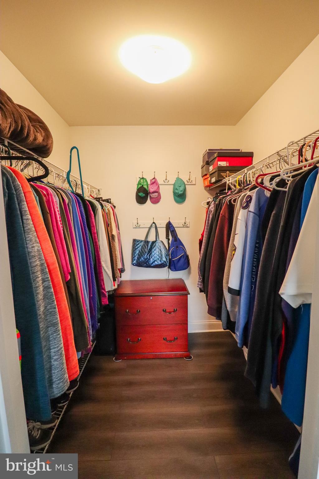 2238 Friesian Road York, PA 17406 - Photo 31 of 54 Walk-In Closet