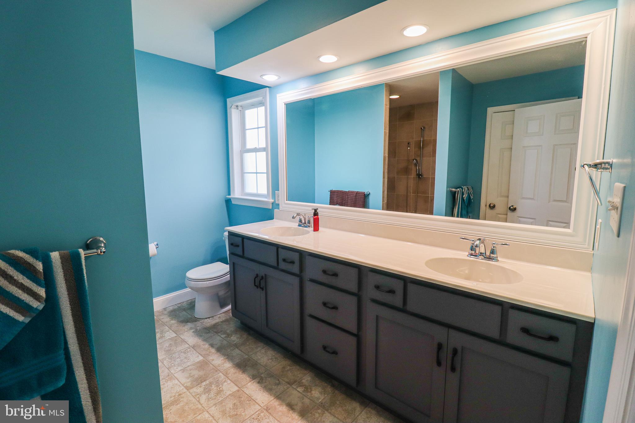 2238 Friesian Road York, PA 17406 - Photo 32 of 54 Huge double vanity in primary bathroom