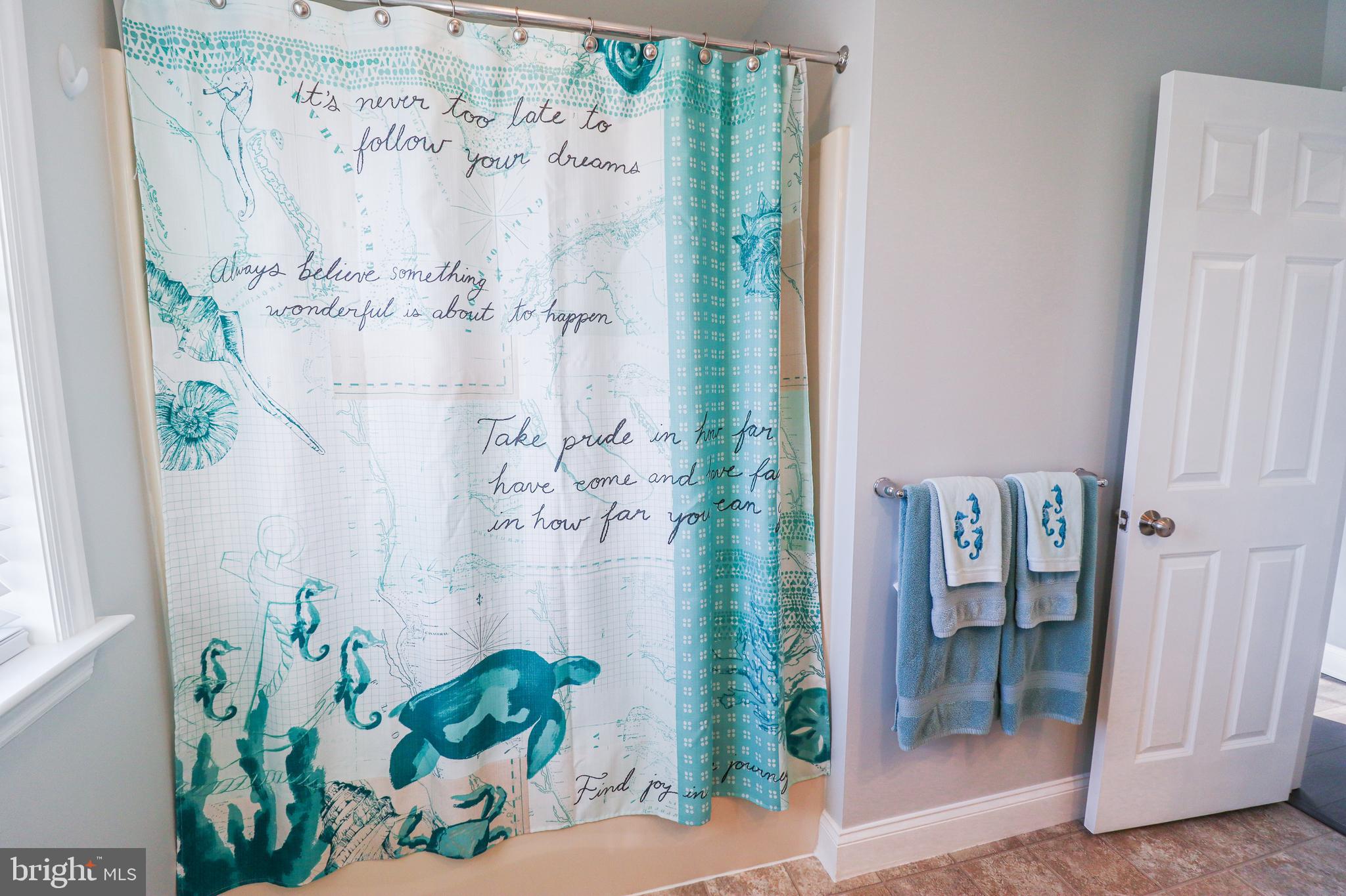2238 Friesian Road York, PA 17406 - Photo 42 of 54 Tub/Shower Combo