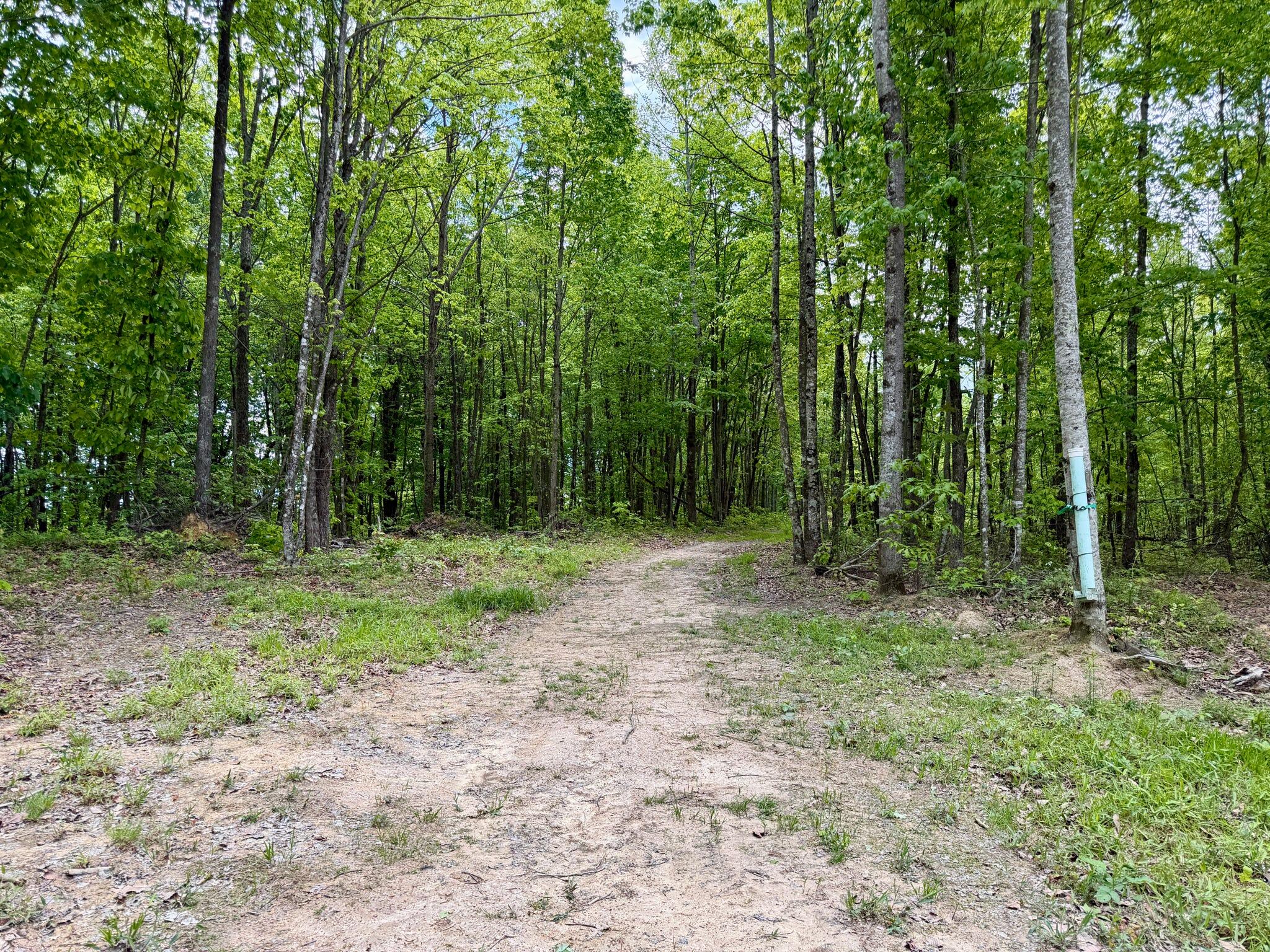 100 A Open Fork Road Morehead, KY 40351 - Photo 37 of 75 Trail