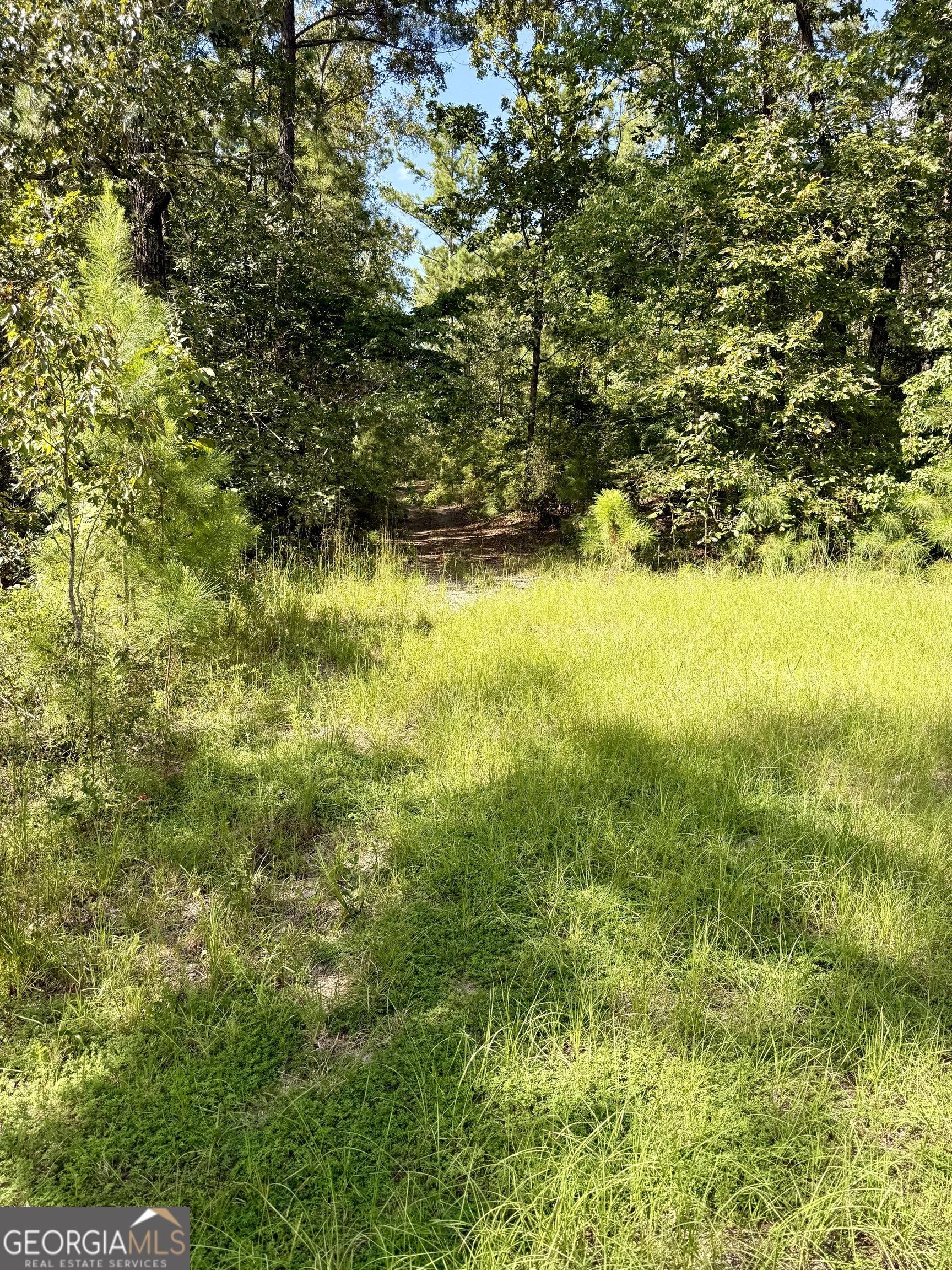 213 Fairgrounds Boulevard Warner Robins, GA 31093 - Photo 3 of 3 a view of yard from a yard