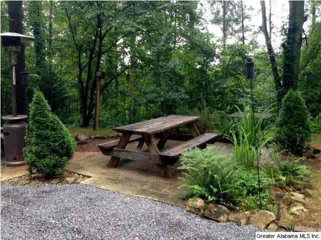 1416 Chandler Mountain Road Steele, AL 35987 - Photo 3 of 25