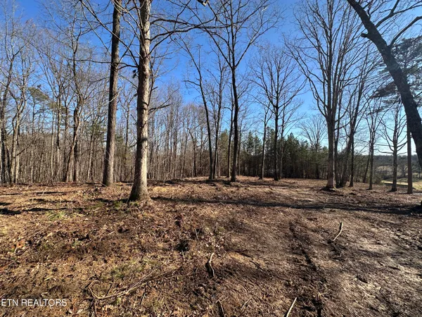 $139,900 | 14.53-ac Pickett Park Highway, Jamestown, TN 38556
