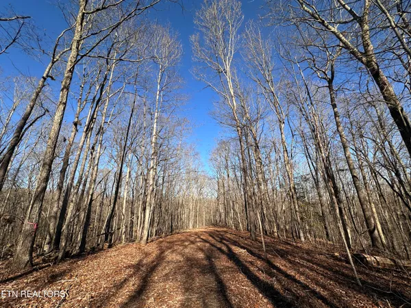 $139,900 | 14.53-ac Pickett Park Highway, Jamestown, TN 38556